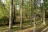 Huntsville State Park