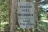 Green Road Dispersed Camping