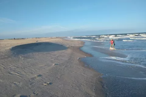 Assateague State Park