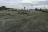 Green River Overflow Parking & Camping Area
