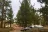 Meadow View Equestrian Campground