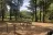White Cliffs Campground