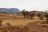 Arkaroola Wilderness Sanctuary