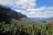 Nowra Historic Town