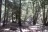 Nesika County Park