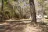 Four Notch Hunter Camp