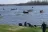 Jones' Riverside Marina & RV Park