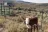 Muddy Creek Road