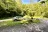 Stonecoal Dispersed Camping Area