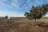 Long Canyon Road Dispersed Camping