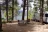 Pine Point Campground