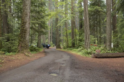 Millersylvania State Park