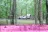 Trout Pond Campground