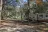 High Springs Campground