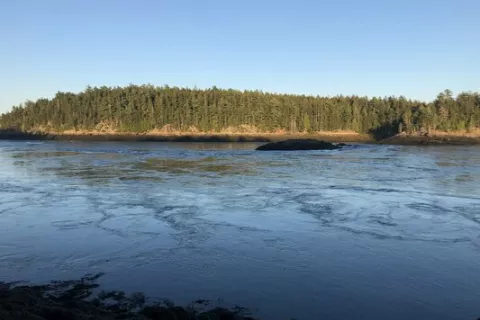 Reversing Falls Park