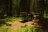 Bitterroot Flat Campground