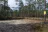 Blackwater River Primitive Recreation Site