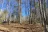 Natchez State Park