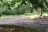Penn Roosevelt State Park