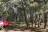 Hunter Camp 217A