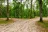 County Line OHV Campground Sites 19-21