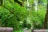 Sol Duc Hot Springs Resort