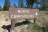 North Campground