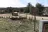 Lark Canyon Campground
