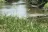 Ambush City Park Campground