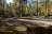 Wild Horse River Dispersed Camping