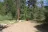 Tenmile Campground