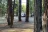 Golden Coach RV Park
