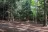Woodside Campsites