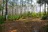 New River Campsite #3