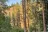Red Bridge State Wayside Campground