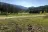 Potters Pond