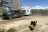 Cottonwood Campground