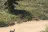 Salmon Creek Campground
