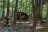 Chapman State Park