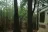 Caddo Lake State Park