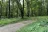 Forest Road 75 Camping Area