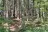 Chautauqua Gorge State Forest
