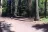Hurricane Creek Campground