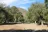 Cibbets Flat Campground