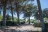 Campingplatz Les Grenettes Île de Ré