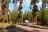 Sheep Bridge Campground