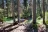Shady Campground