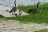 Boy Scout Point Campground