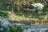 Camping l'Hirondelle