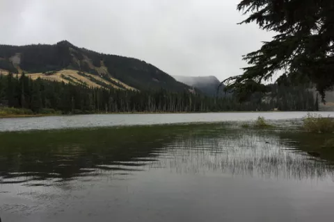 White Pass Lake Campground